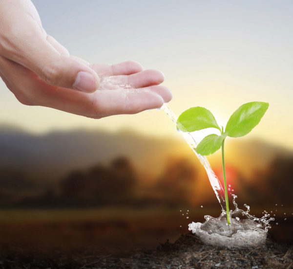 Unternehmenskredite_1